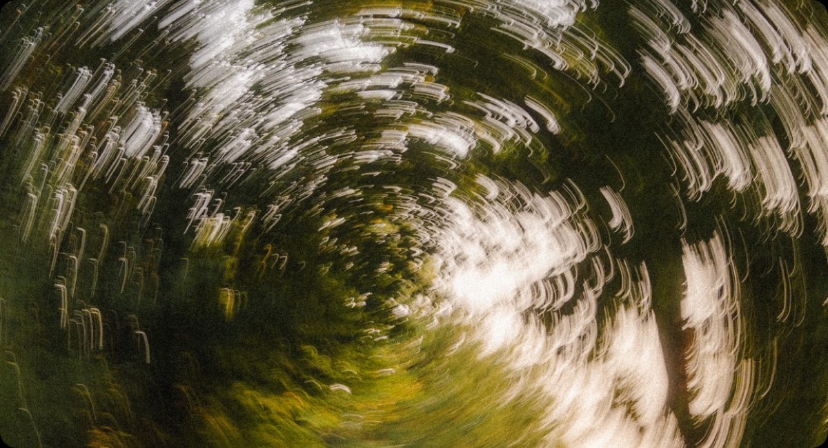 Blurred forest rotation